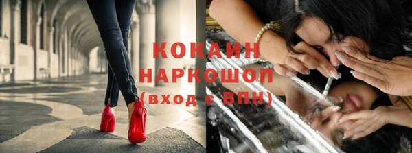 ПСИЛОЦИБИНОВЫЕ ГРИБЫ Богданович