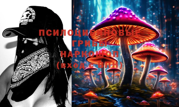 ПСИЛОЦИБИНОВЫЕ ГРИБЫ Богданович