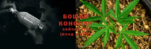 ПСИЛОЦИБИНОВЫЕ ГРИБЫ Богданович