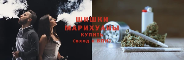 ПСИЛОЦИБИНОВЫЕ ГРИБЫ Богданович