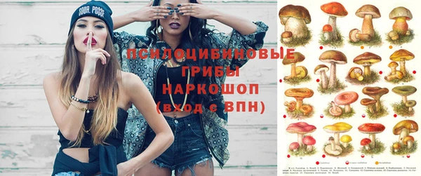ПСИЛОЦИБИНОВЫЕ ГРИБЫ Богданович