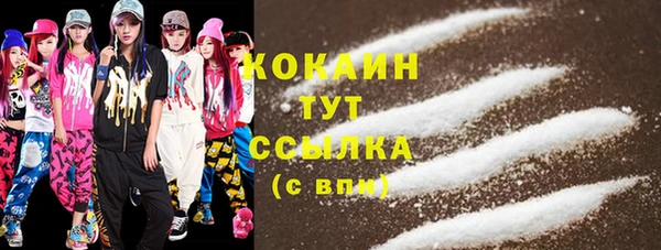 ПСИЛОЦИБИНОВЫЕ ГРИБЫ Богданович