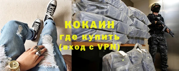 ПСИЛОЦИБИНОВЫЕ ГРИБЫ Богданович