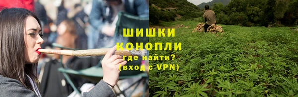 ПСИЛОЦИБИНОВЫЕ ГРИБЫ Богданович