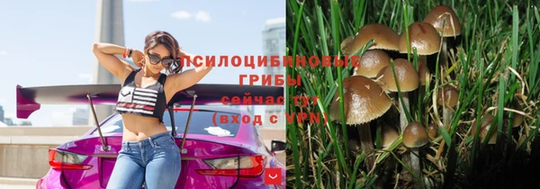 ПСИЛОЦИБИНОВЫЕ ГРИБЫ Богданович