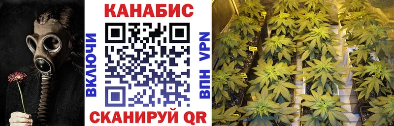 дарнет шоп  Саратов  маркетплейс официальный сайт  Шишки марихуана семена 